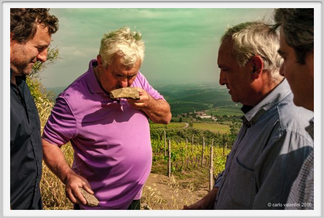 tenuta_di_arceno1410