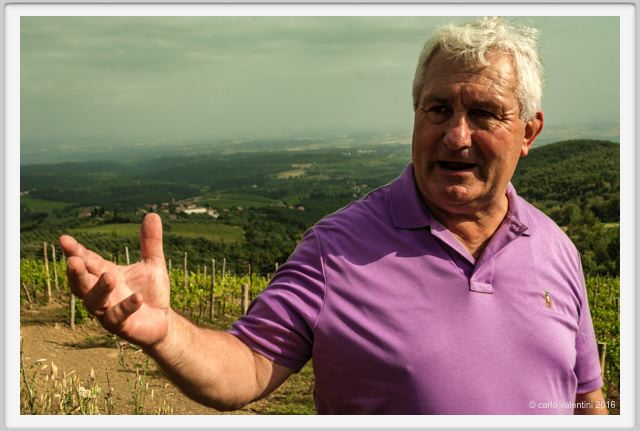 tenuta_di_arceno1414