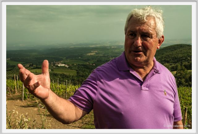 tenuta_di_arceno1417