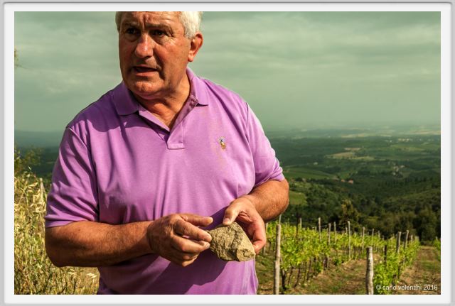 tenuta_di_arceno1432