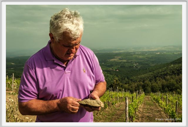 tenuta_di_arceno1434