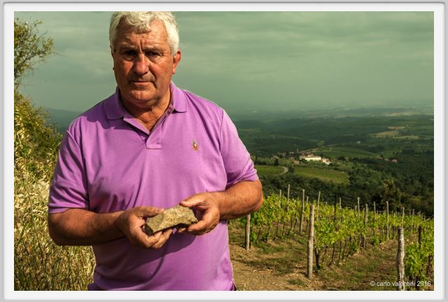 tenuta_di_arceno1438