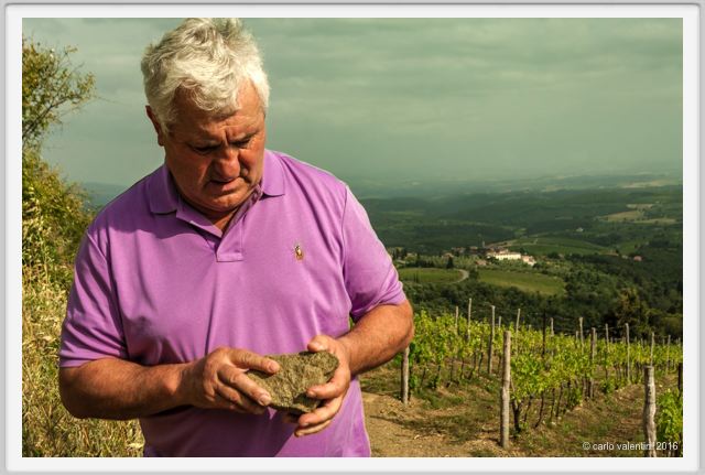 tenuta_di_arceno1444