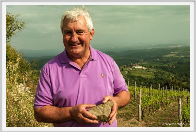 tenuta_di_arceno1445
