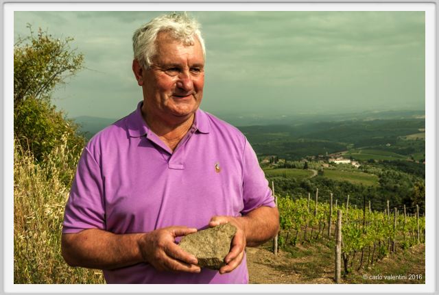 tenuta_di_arceno1447