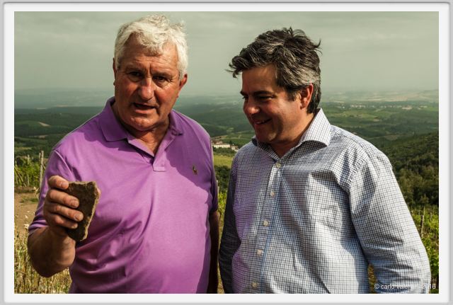 tenuta_di_arceno1453