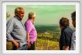 tenuta_di_arceno1651