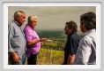 tenuta_di_arceno1653