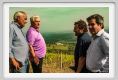 tenuta_di_arceno1654