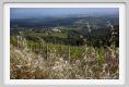 tenuta_di_arceno1637