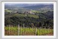 tenuta_di_arceno1641