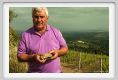 tenuta_di_arceno1693