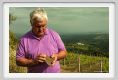 tenuta_di_arceno1695