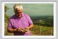 tenuta_di_arceno1696