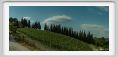 tenuta_di_arceno1642
