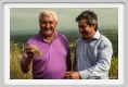 tenuta_di_arceno1704