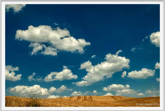 castelnuovo_berardenga034