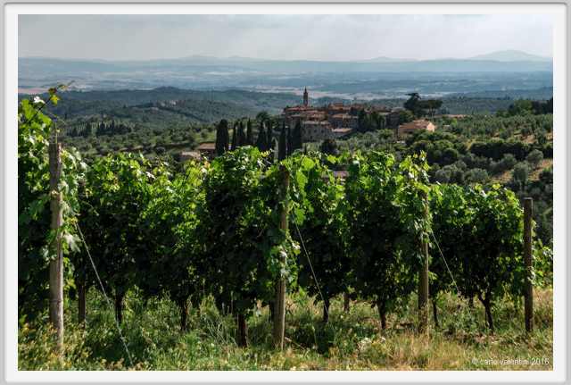 tenuta_di_arceno1825