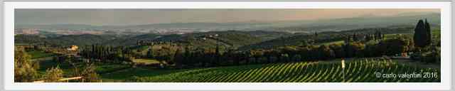 tenuta_di_arceno1854