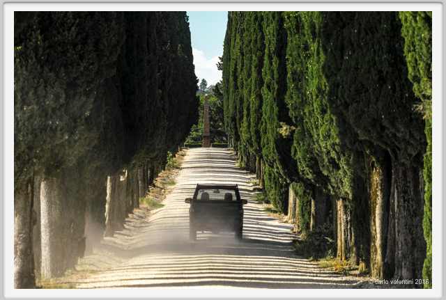 tenuta_di_arceno1857
