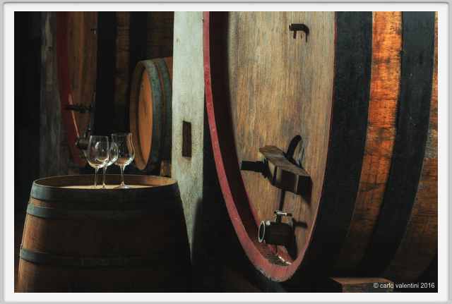 tenuta_di_arceno1894