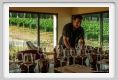 tenuta_di_arceno1937