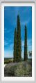 tenuta_di_arceno1828