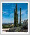 tenuta_di_arceno1829