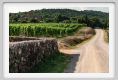 tenuta_di_arceno1836