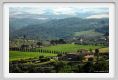 tenuta_di_arceno1858