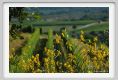 tenuta_di_arceno1865