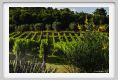 tenuta_di_arceno1874