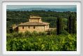 tenuta_di_arceno1875