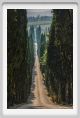 tenuta_di_arceno1892