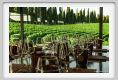 tenuta_di_arceno1935