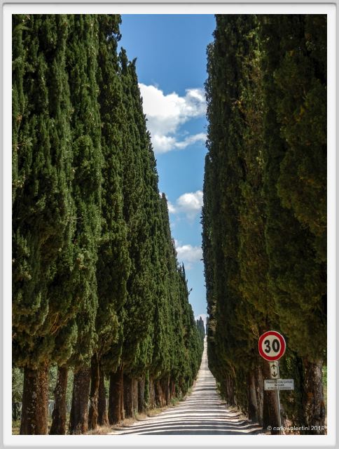 tenuta_di_arceno1752