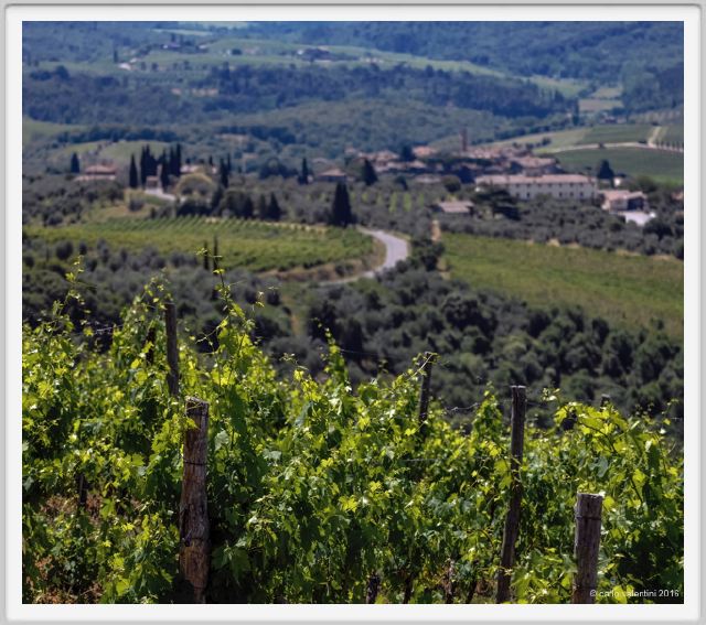 tenuta_di_arceno1784