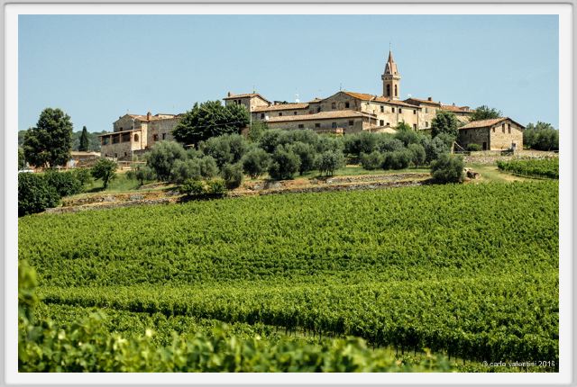 tenuta_di_arceno1737