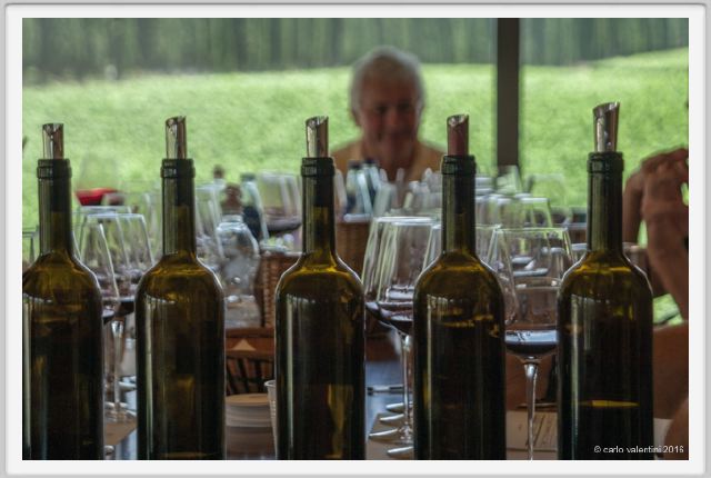 tenuta_di_arceno1952