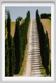 tenuta_di_arceno1741