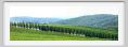tenuta_di_arceno1747
