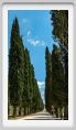 tenuta_di_arceno1751