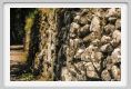 tenuta_di_arceno1731