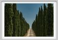 tenuta_di_arceno1753