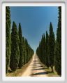 tenuta_di_arceno1762