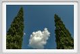 tenuta_di_arceno1764