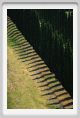 tenuta_di_arceno1775