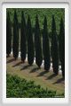 tenuta_di_arceno1778
