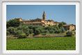 tenuta_di_arceno1780