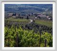 tenuta_di_arceno1784